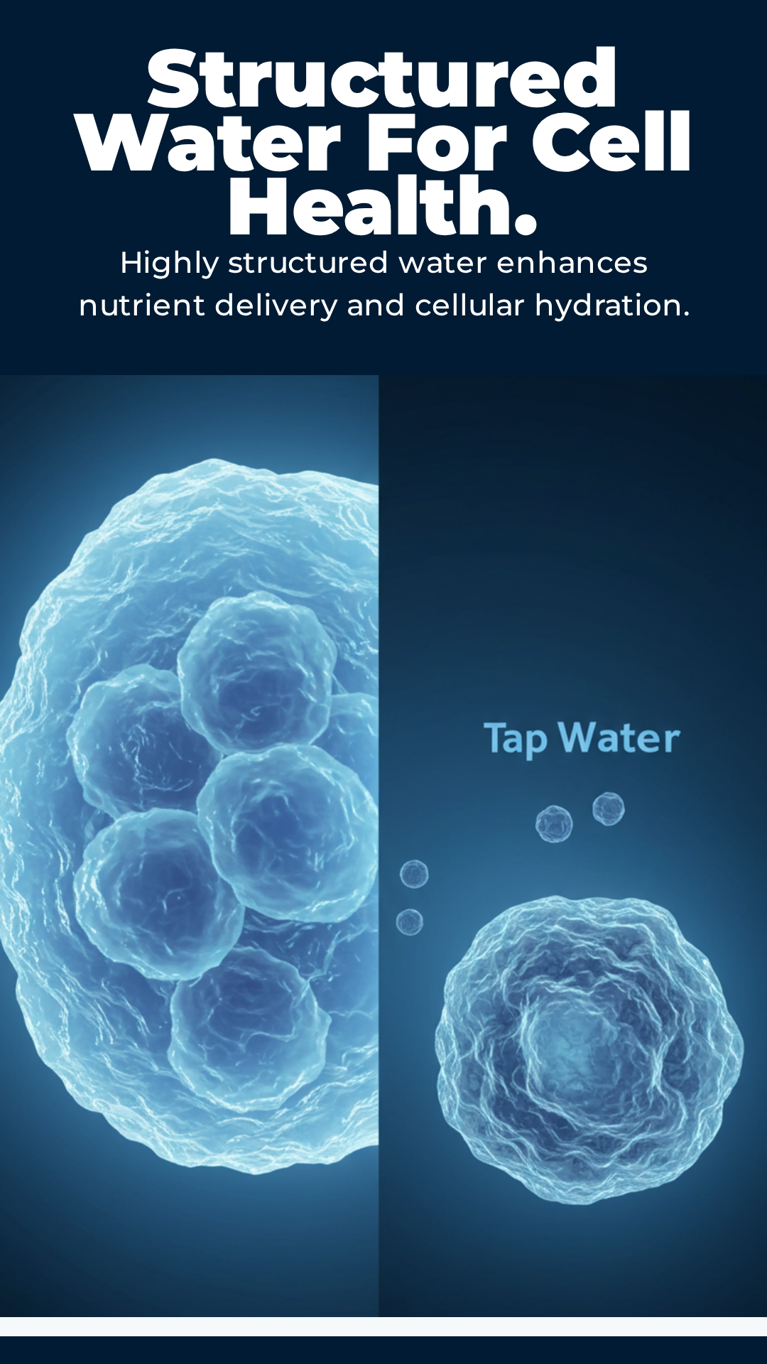 Aquarius Quantum Vortex Structured Water Device