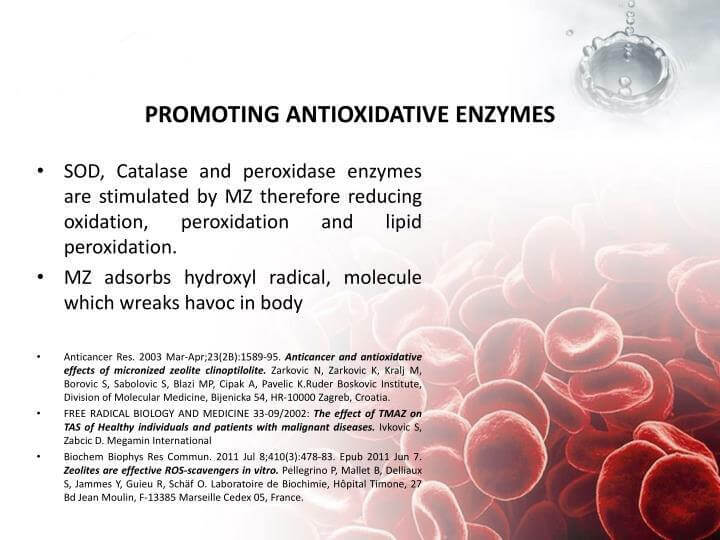 ZeoZone Activated Liquid Zeolite 60ml