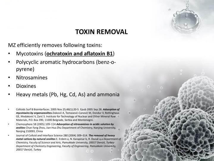 ZeoOne Zeolite Powder 500g