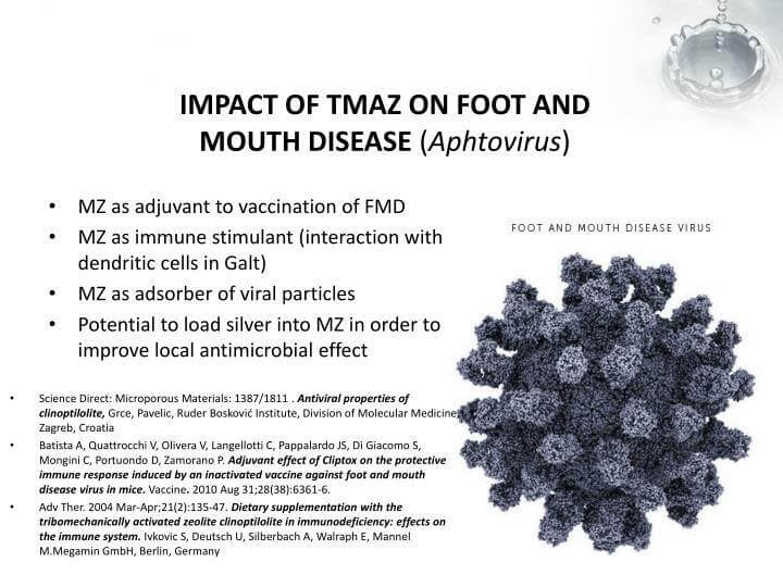 ZeoOne Zeolite Powder 500g